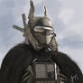 Enfys Nest