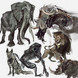 african animals sketch dump