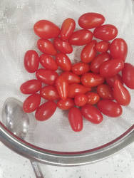 Cherry Tomatoes