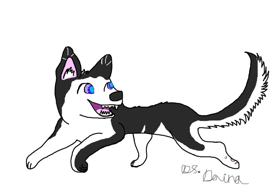 Husky Deviantart Siberian Husky by Tigeress915 on DeviantArt