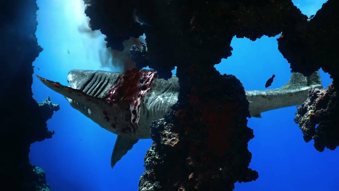 Megalodon Blood by sharkmegalodon on DeviantArt