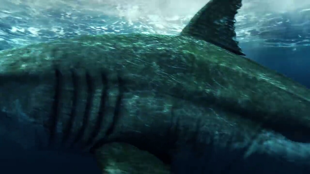 Giant Megalodon 3 by sharkmegalodon on DeviantArt