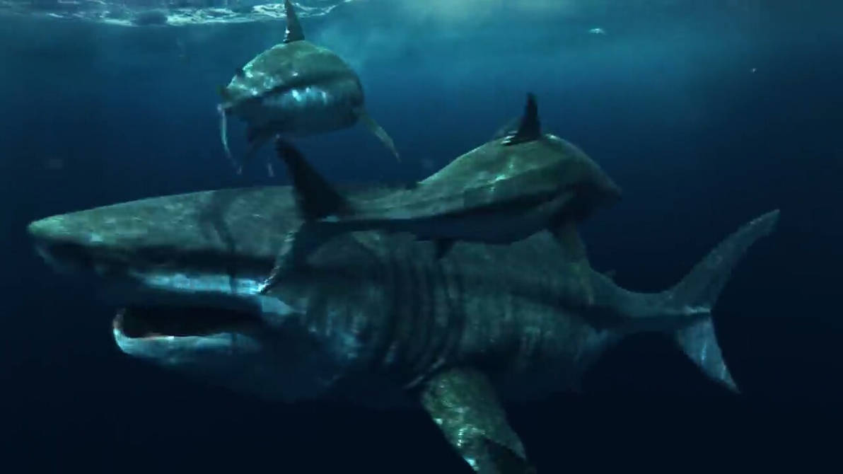 Giant Megalodon 2 by sharkmegalodon on DeviantArt