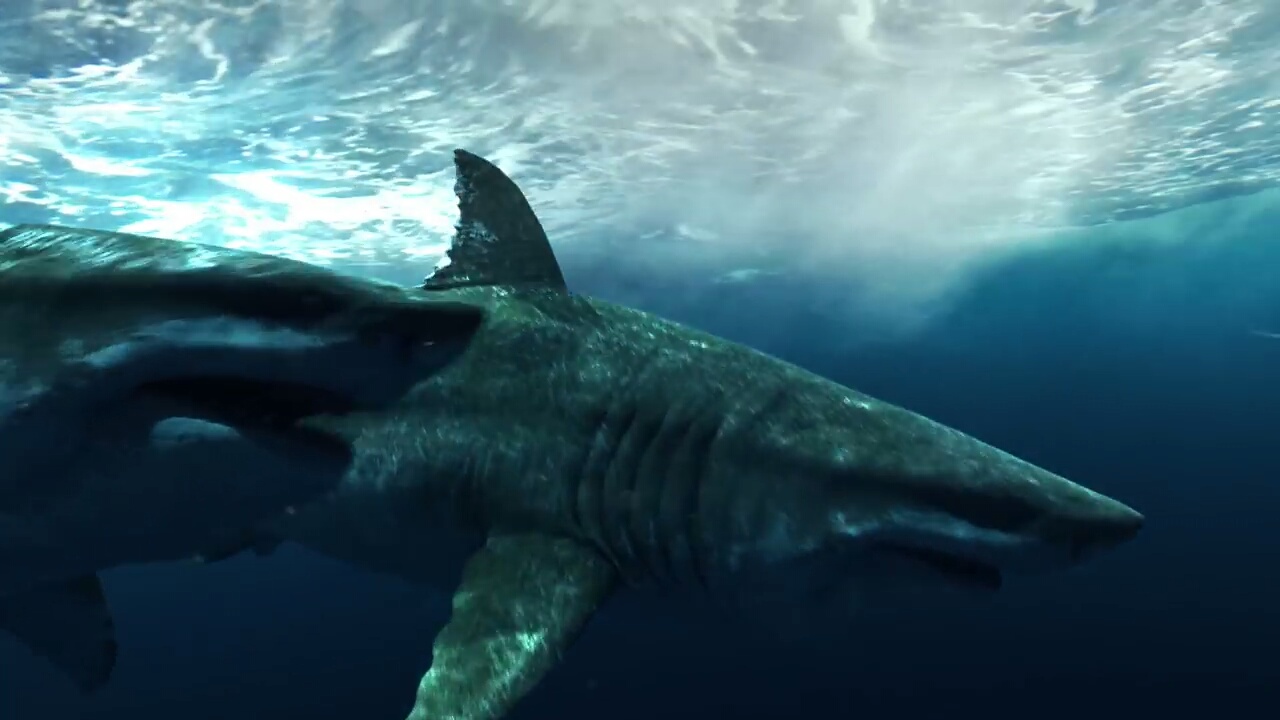 Giant Megalodon by sharkmegalodon on DeviantArt