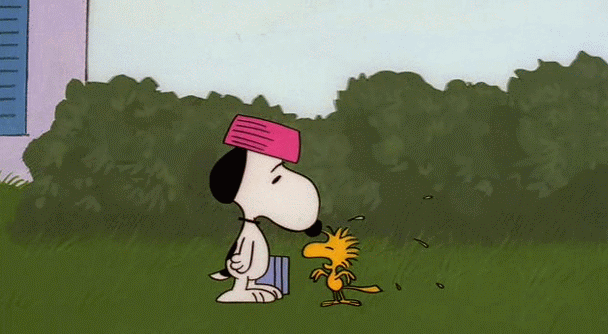 Snoopy Crying Gif
