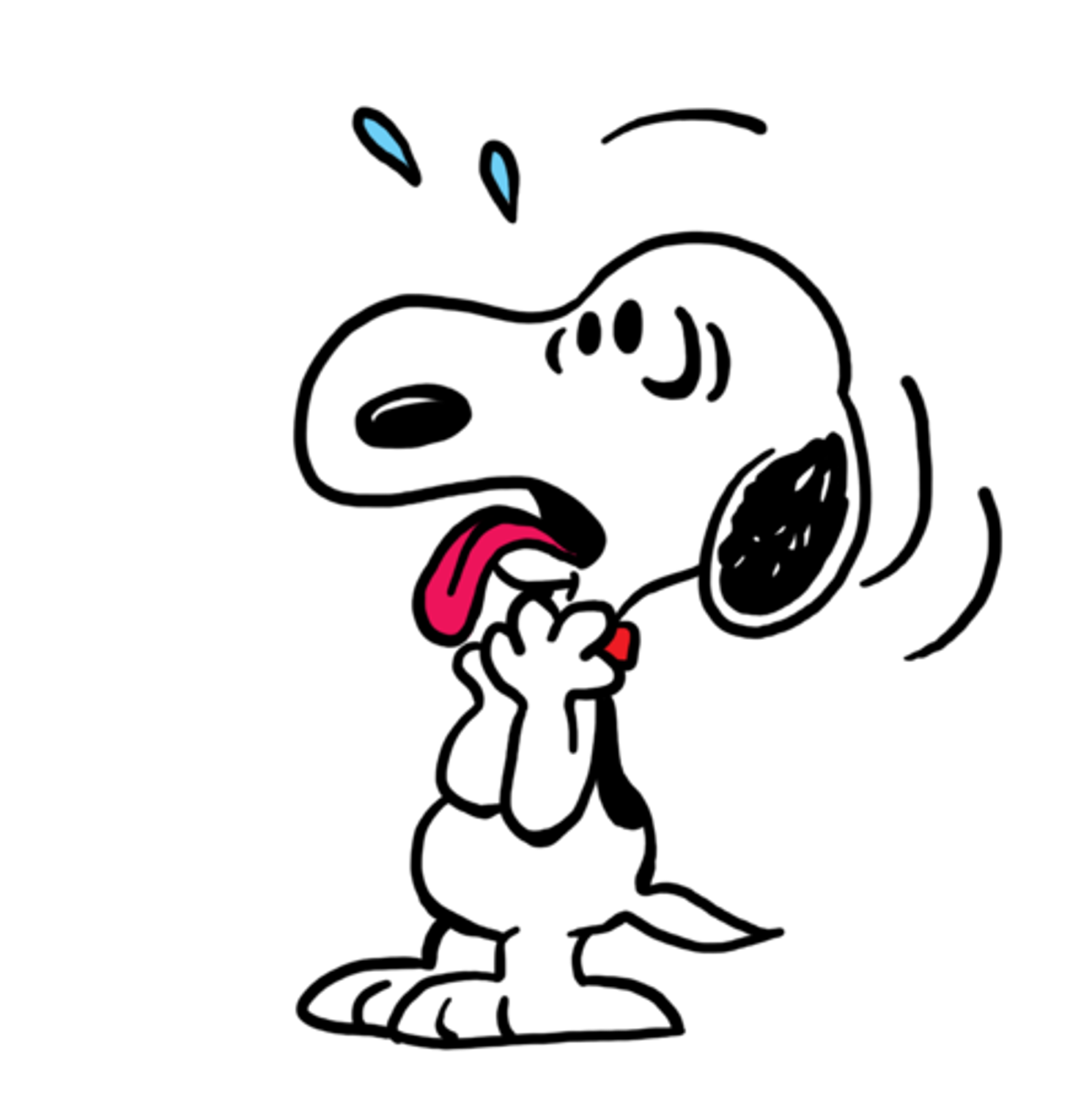 Snoopy gag