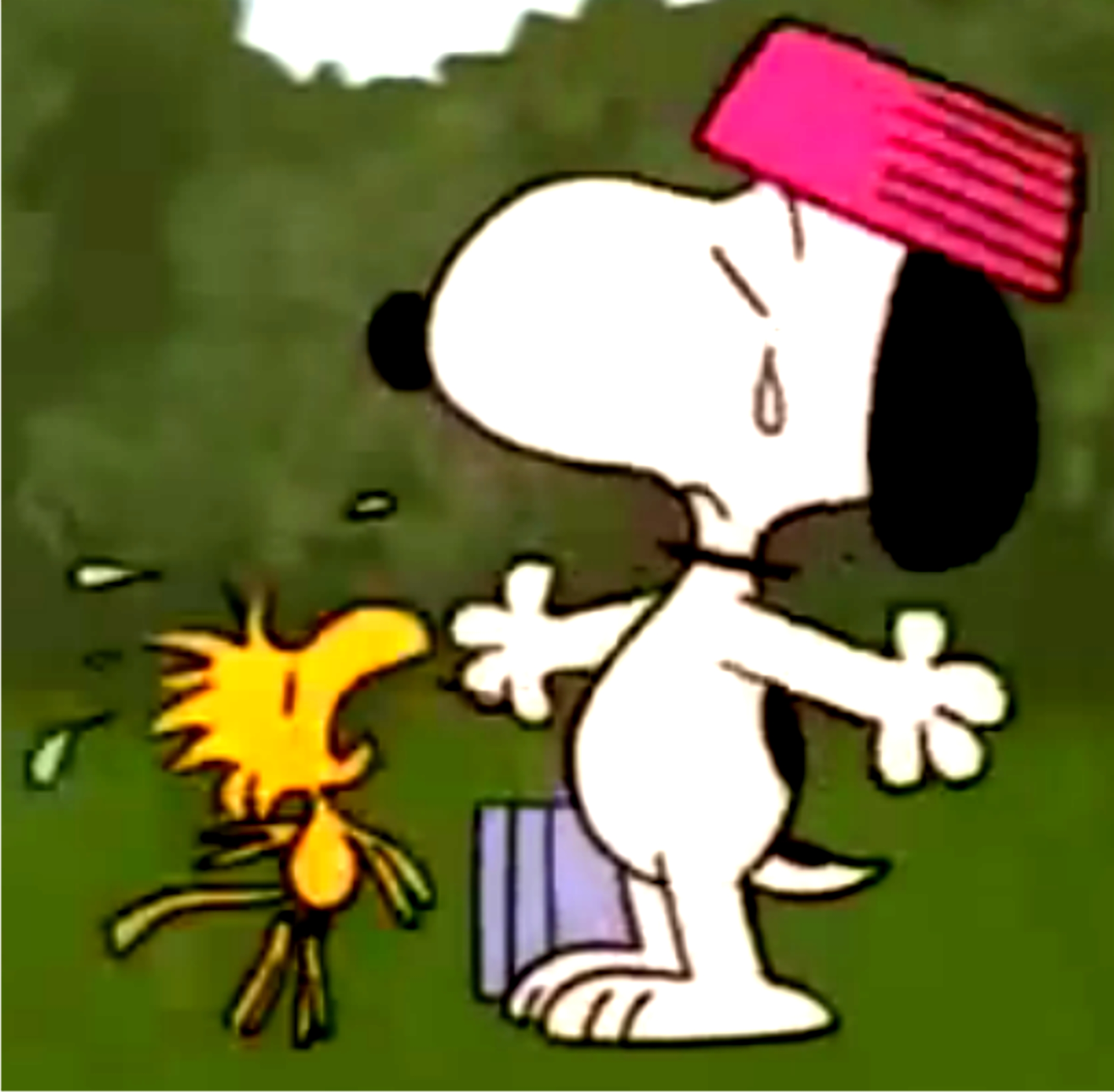 Snoopy says goodbye to Woodstock by BradSnoopy97 on DeviantArt Snoopy says goodbye to Woodstock by BradSnoopy97 on DeviantArt