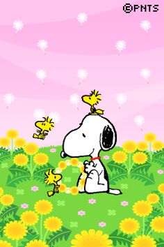 Snoopy E Seus Amiguinhos By Bradsnoopy97 On Deviantart Snoopy E Seus Amiguinhos By Bradsnoopy97 On Deviantart