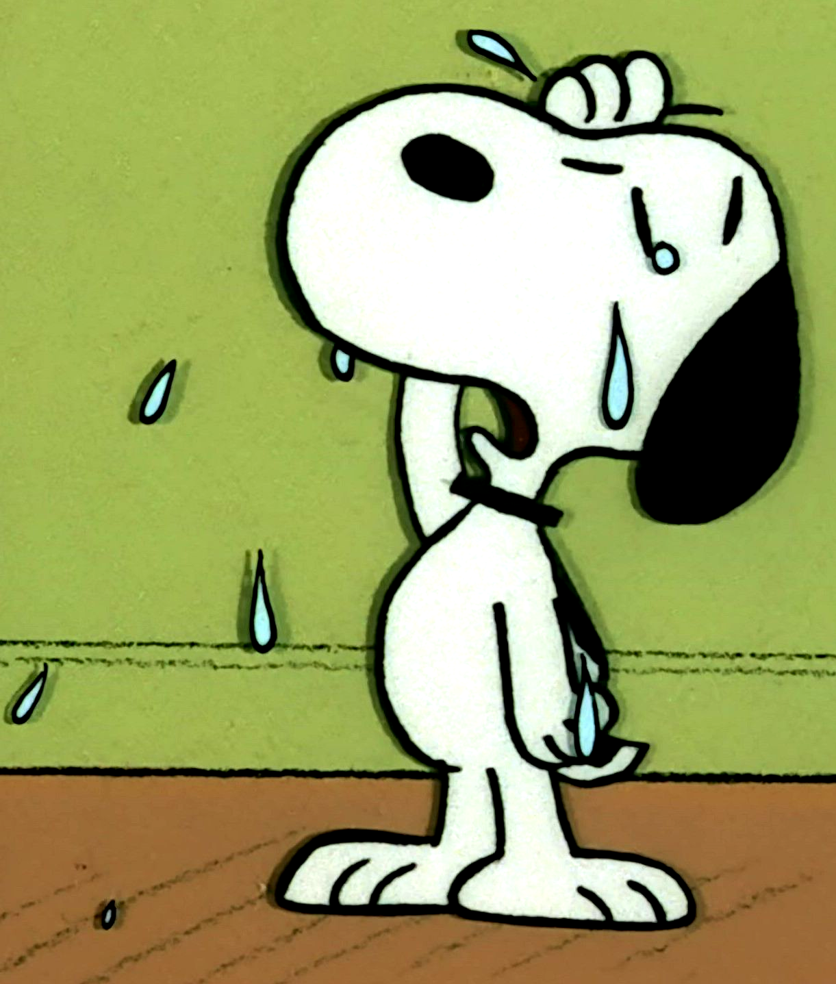 Chora, Snoopy! by BradSnoopy97 on DeviantArt