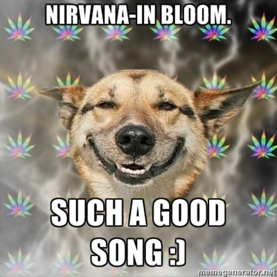 Stoner Dog meme: Nirvana in Bloom by Kirby-Force on DeviantArt
