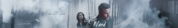 Skyeward Banner