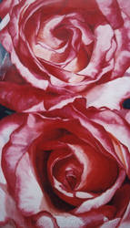 Roses by AnnaGilhespy