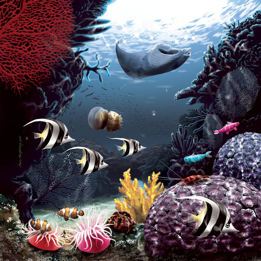The Reef by mskyDOTtv on DeviantArt