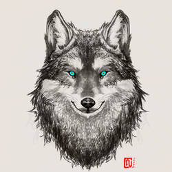 wolf