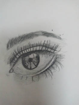 eye 