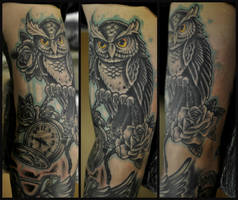 owl healed