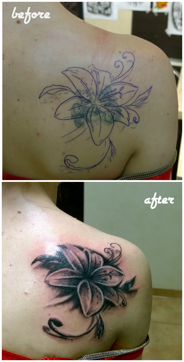 lily cover up