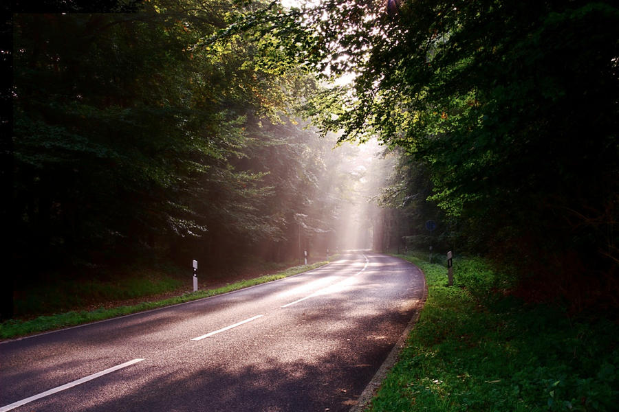 Forest Road