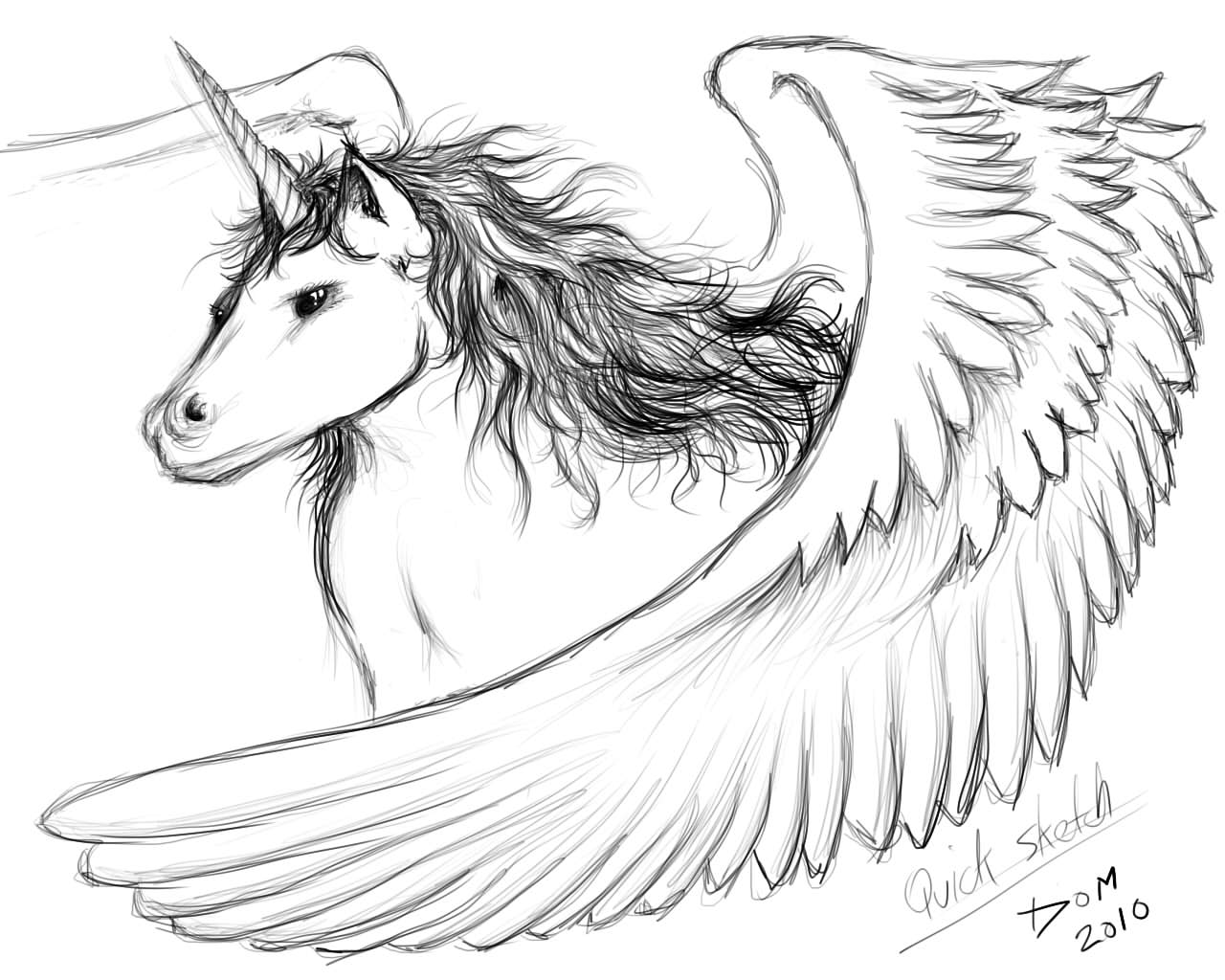 Unicorn sketch