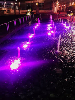 Purple lights