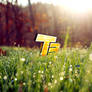 Technobase Grass Wallpaper