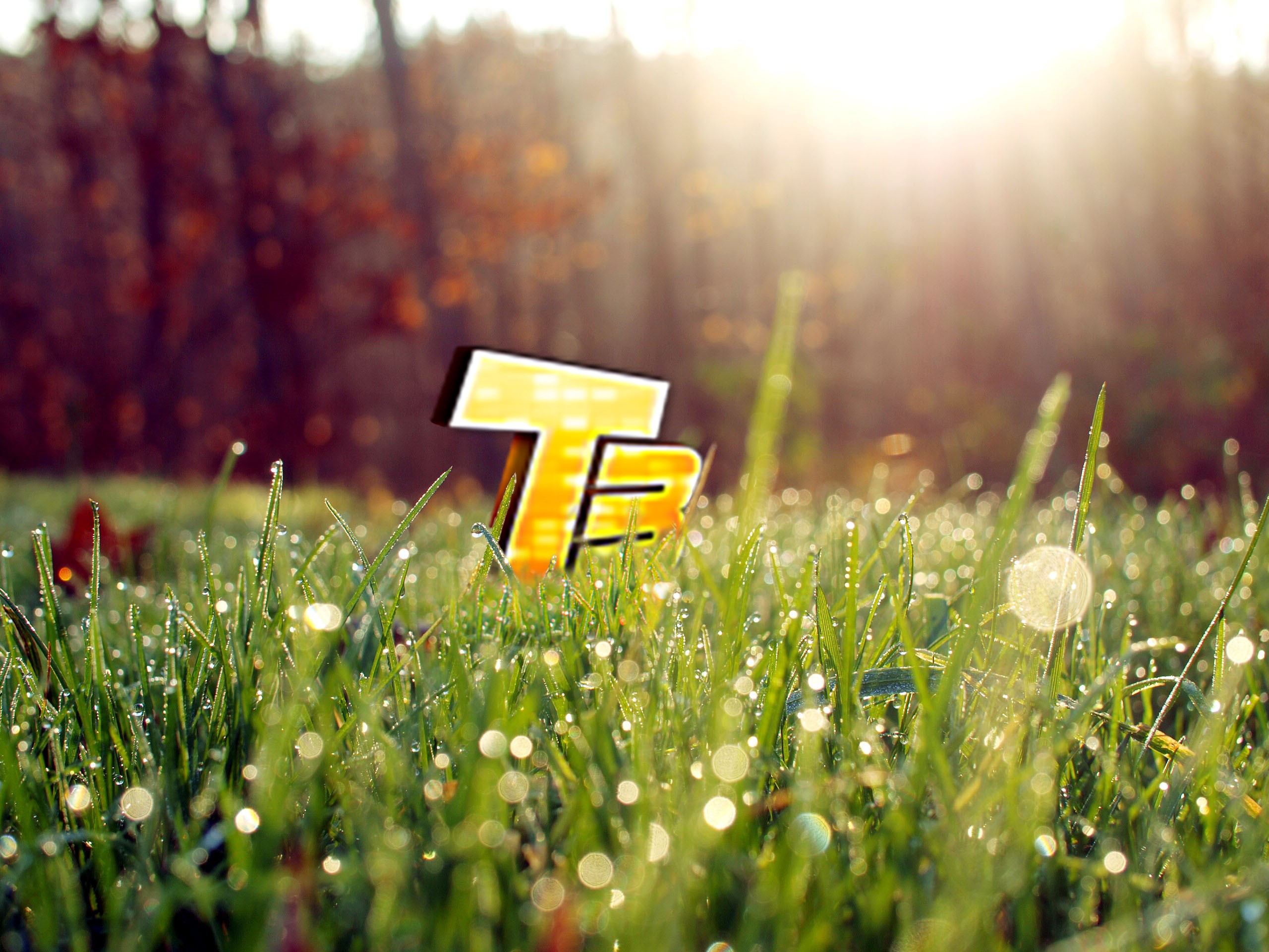 Technobase Grass Wallpaper