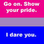 Bi pride