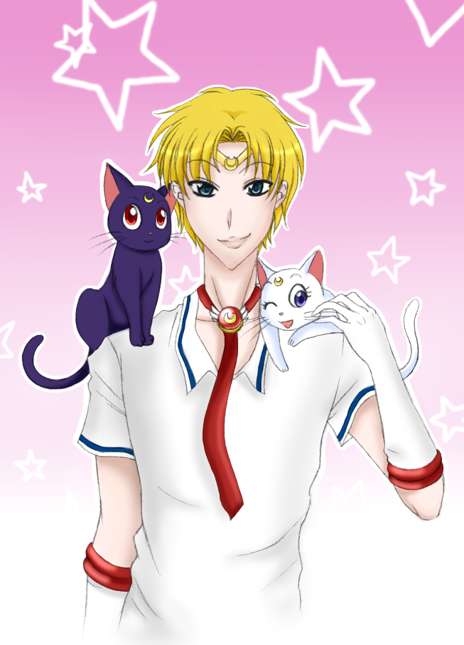 Sailor Men: Sailor Moon