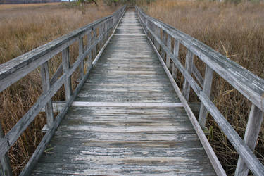 Boardwalk