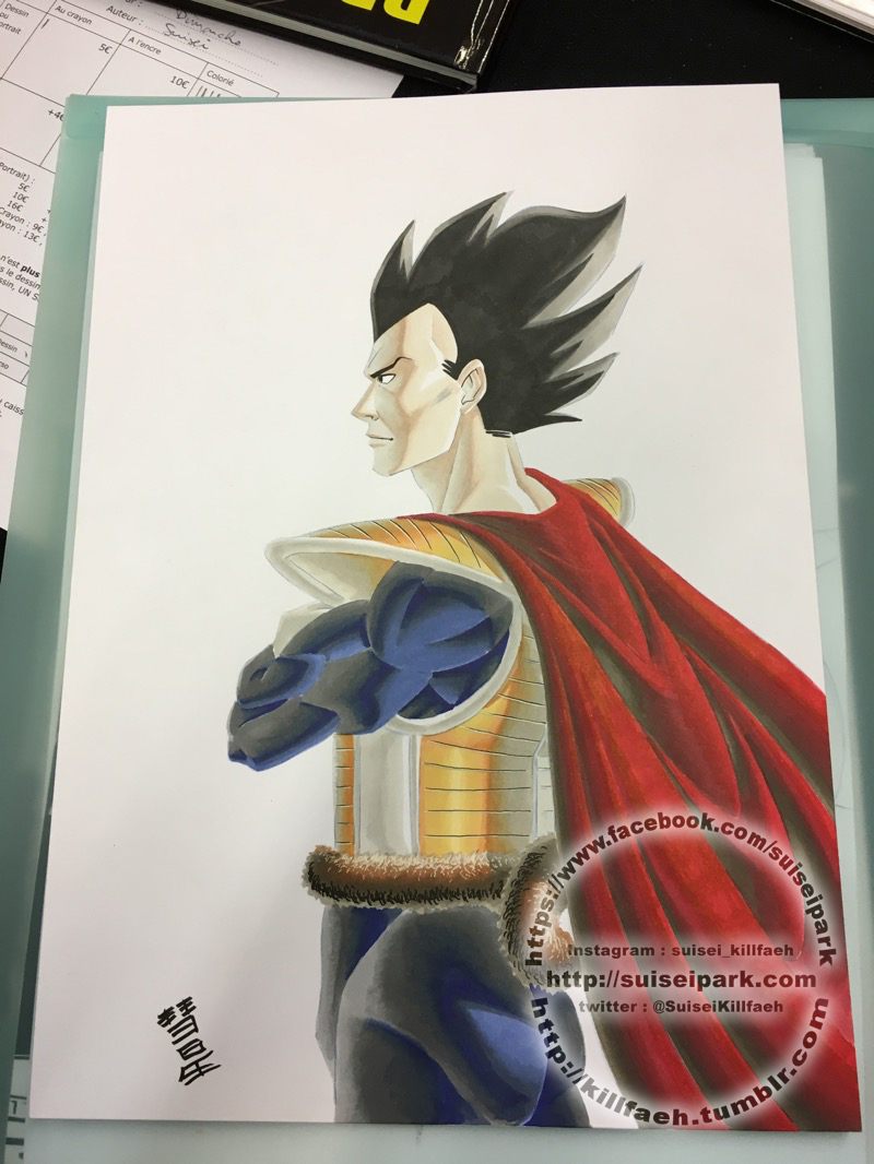 Emperor Vegeta - Dragon Ball Multiverse by SuiseiKillfaeh on DeviantArt