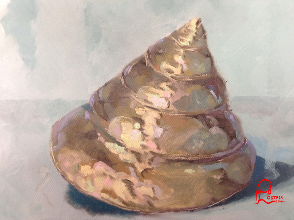 Shiny Sea Shell by ostrersaurus on DeviantArt