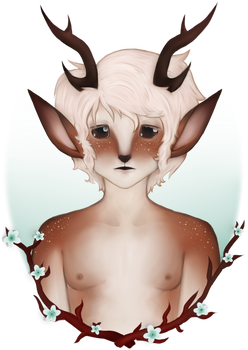 .:Deerboy:.