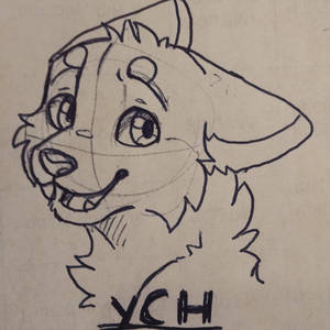 YCH cheap auction
