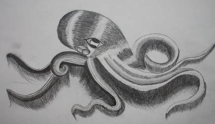 Hairy Octopus