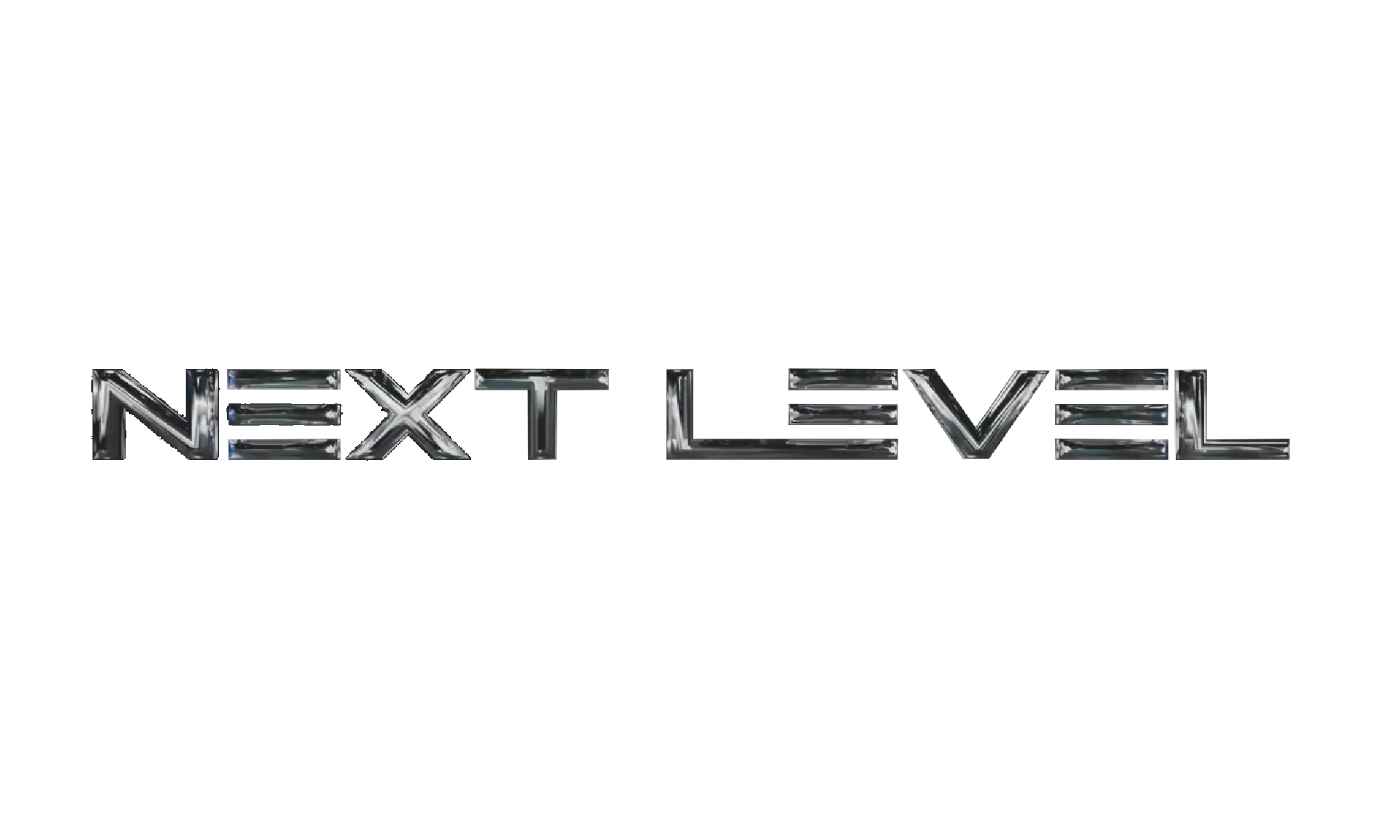 Next Level Logo