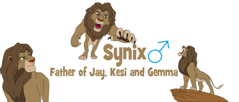 Synix Ref Sheet 1