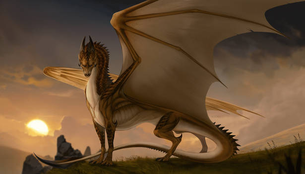 Sunset dragon.