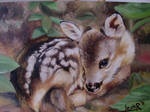baby deer by cuzzycutegirl