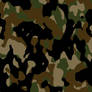 Camo