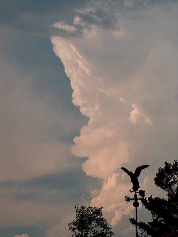 Weather vane