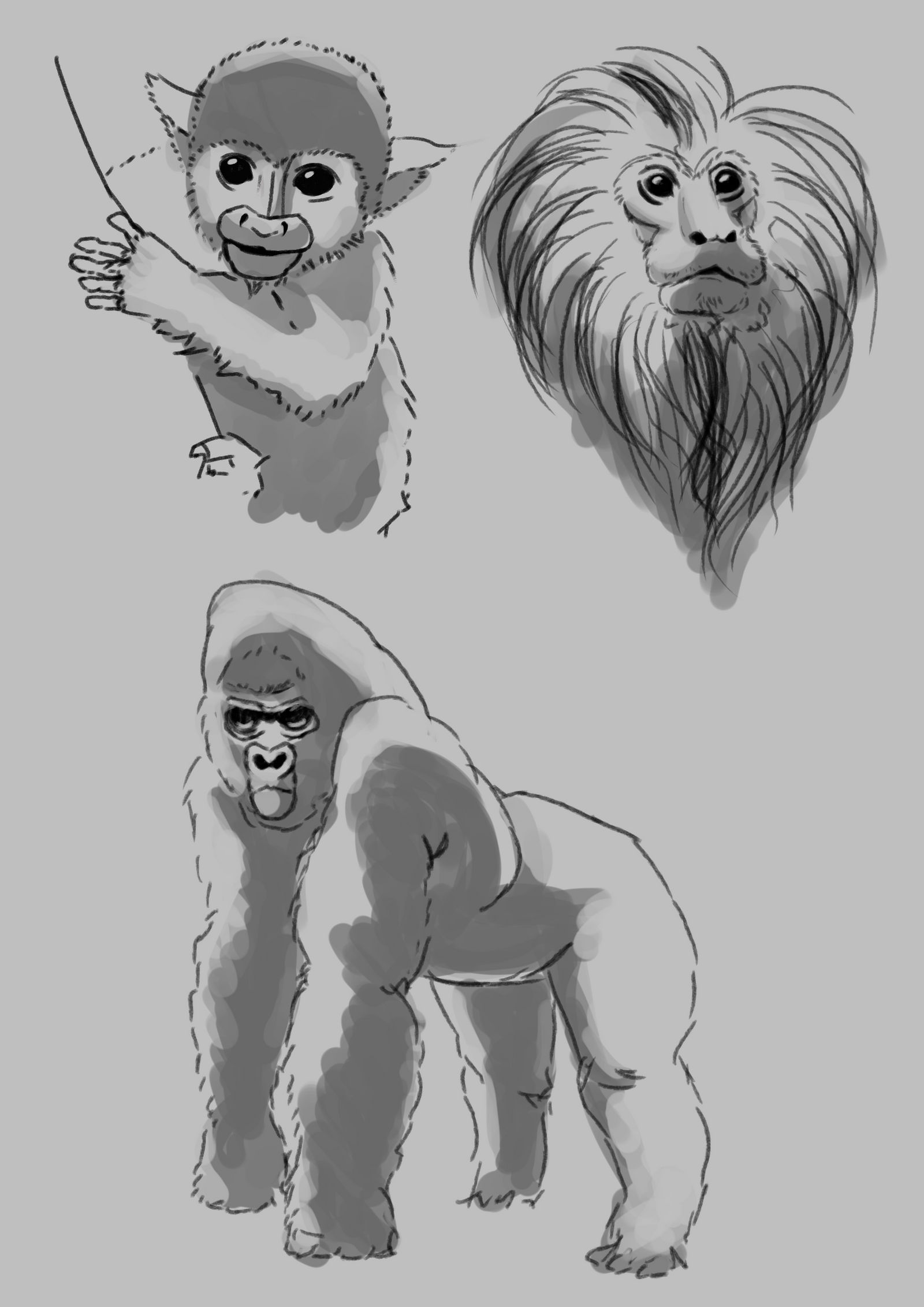 Primates Deviantart Base Sketches - Primates by Saucy-Boi on DeviantArt