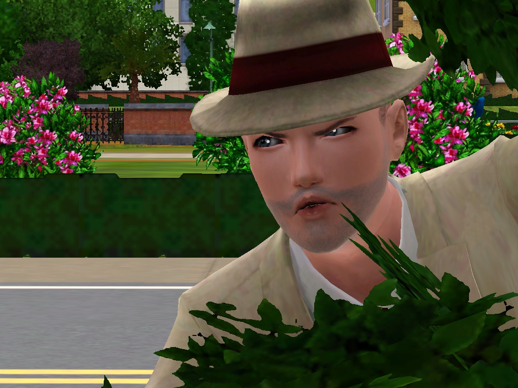 The Detective- Sims 3