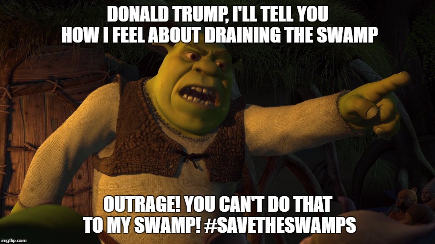 Duncan fell into Shrek's Swamp meme