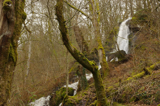 Brisecou waterfall VII