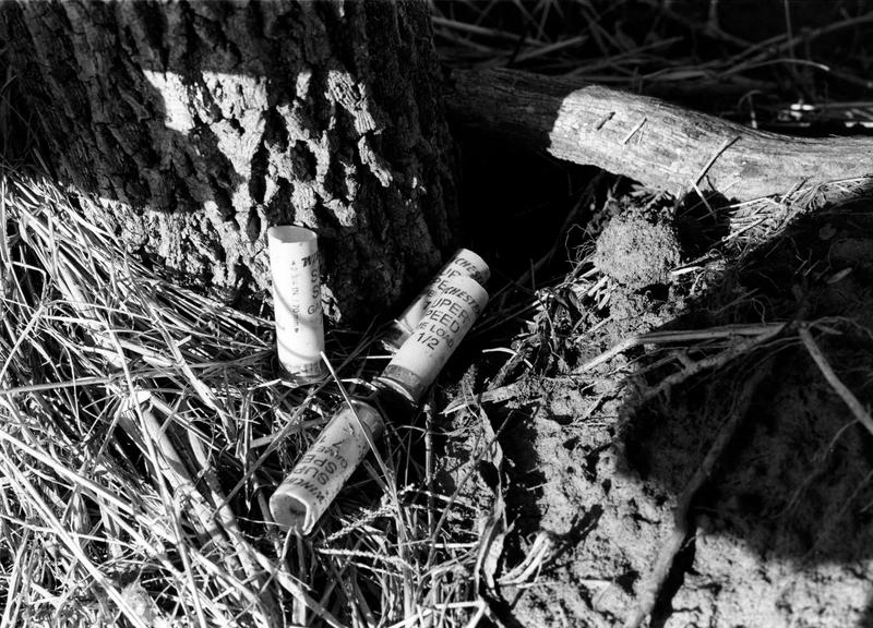 Spent Shells by frankmarlowe on DeviantArt