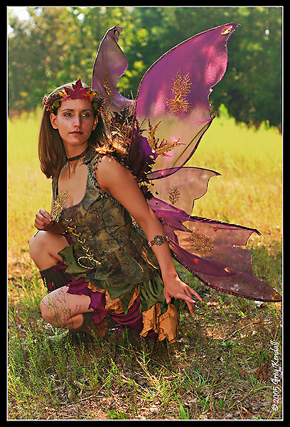 Fall Fairy Costume 3