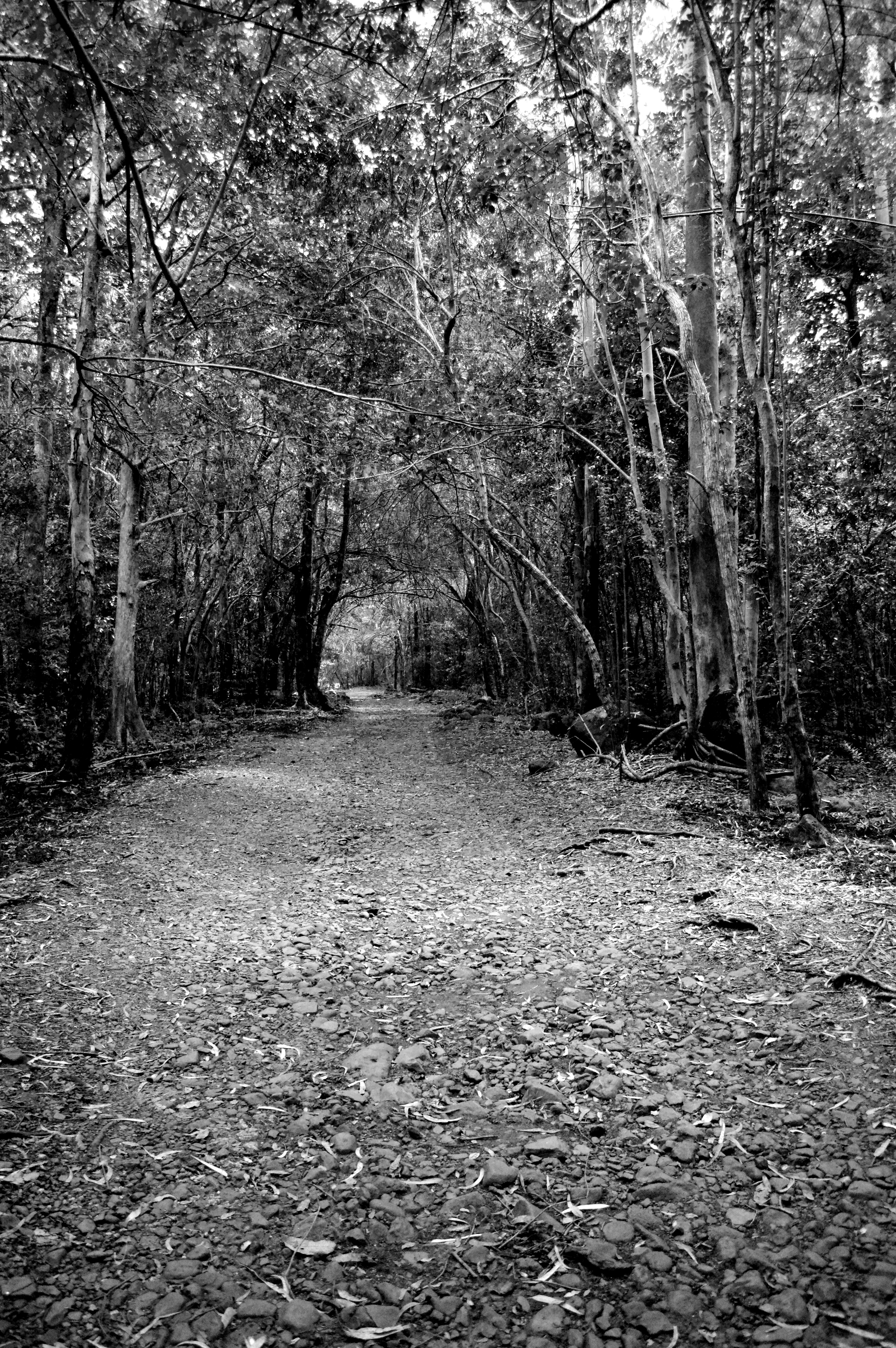 Nature Park ... Scary?