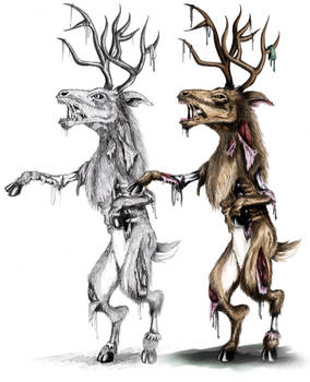 Zombie Deer Drawings