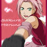 The New Sakura Haruno