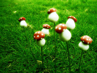 Mushrooms